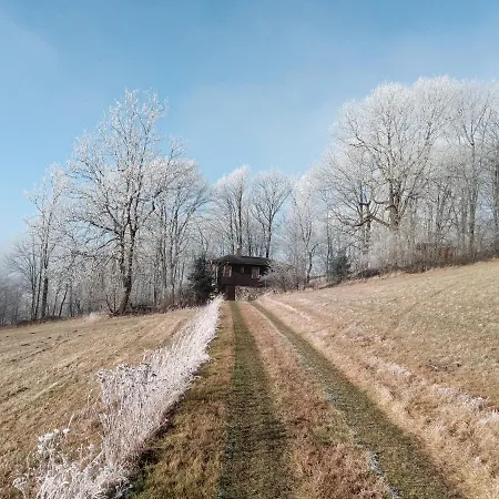 Berghuette Fuerstenwalde Tatil Evi Geising